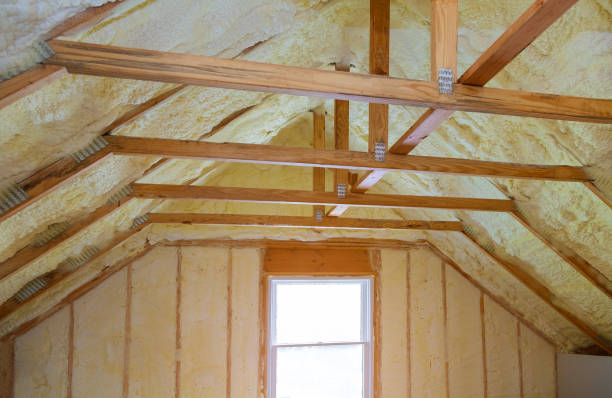 Professional Insulation Contractor in Hidalgo, TX