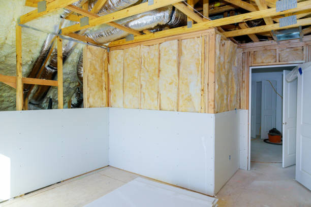 Best Residential Insulation Services  in Hidalgo, TX