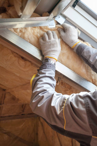Best Professional Insulation Contractor  in Hidalgo, TX