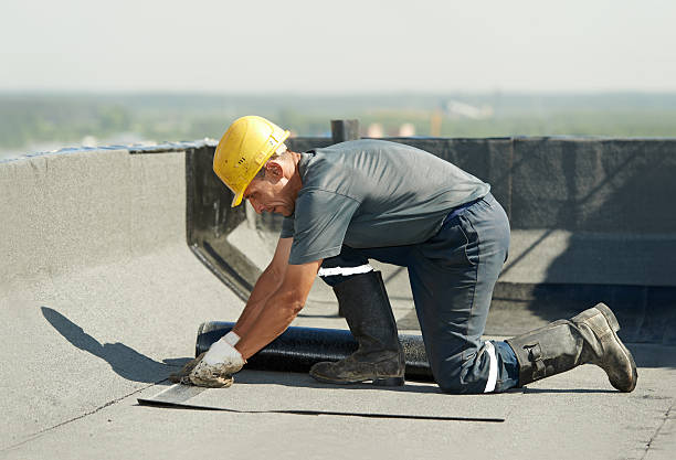 Best Insulation Removal  in Hidalgo, TX