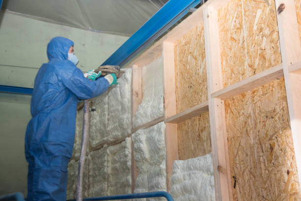 Best Soundproof Insulation Installation  in Hidalgo, TX