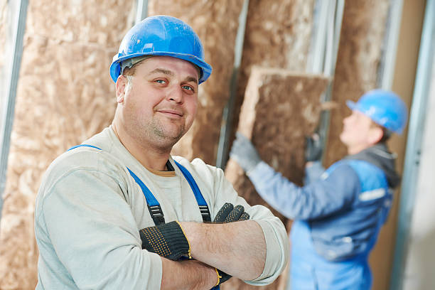 Best Local Insulation Services  in Hidalgo, TX