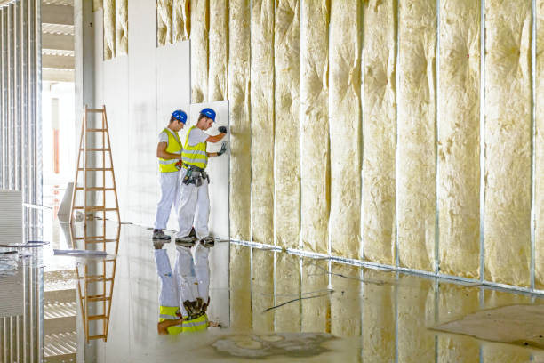 Best Commercial Insulation Contractor  in Hidalgo, TX